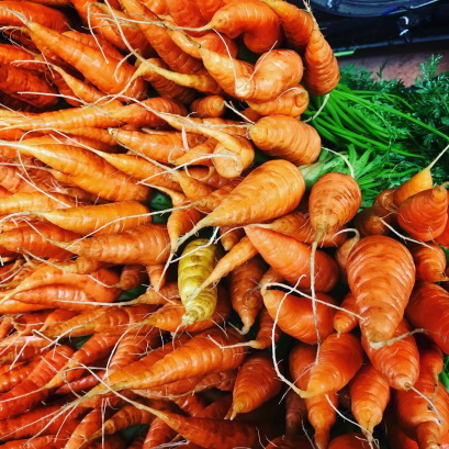 Ngeringa Biodynamic Carrots